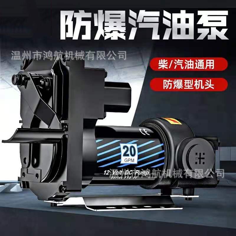 12V24V电瓶直流防爆汽油柴油抽油泵大流量滑片泵刮片自吸泵加油泵