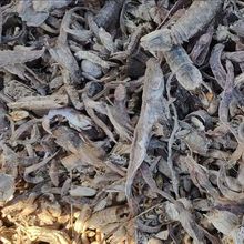 ��ϼ���s�~�� �����u���Z�iˮ�a�Bֳ�����s�~��ԭ��