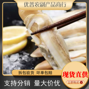 �|�������r����|���⺣�r���|���|���r��������}�������r����