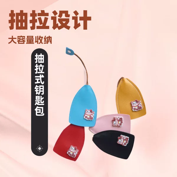Car Key Case Creative Pull-out Cute Personalized Women's Large Capacity Storage Volkswagen Mercedes-Benz Universal Compact Mini