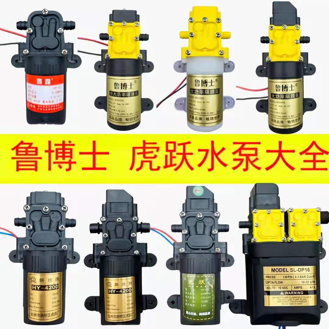 12V agricultural electric sprayer pump diaphragm pump intelligent high-pressure self-priming pump high-power pesticide sprayer motor