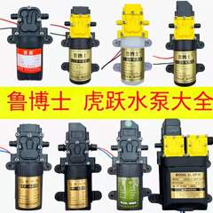 12V agricultural electric sprayer pump diaphragm pump intelligent high-pressure self-priming pump high-power pesticide sprayer motor