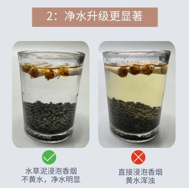 6e6e74f4-e8ce-424c-ba60-59a776d1bd0b.jpe