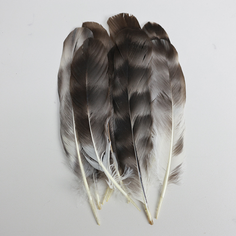 Fábrica al por mayor de bricolaje plumas pequeñas plumas naturales plumas de pollo salvaje plumas de pato jardín de infantes joyas hechas a mano gato divertido material de captura de sueños