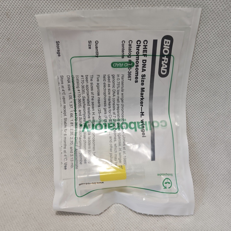 1703667 CHEF DNA 大小标记，1–3.1Mb，H. wingei分子量标准 5个