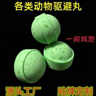 �S�����l�������� �l�әCœ���Ɖıڻ�� ؈��¹���ӄ�������