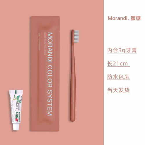Youthful Grapefruit Disposable Toothbrush Set: Hotel-Style Soft-Bristle Toothbrushes with Individual Packaging—Perfect for Guesthouses