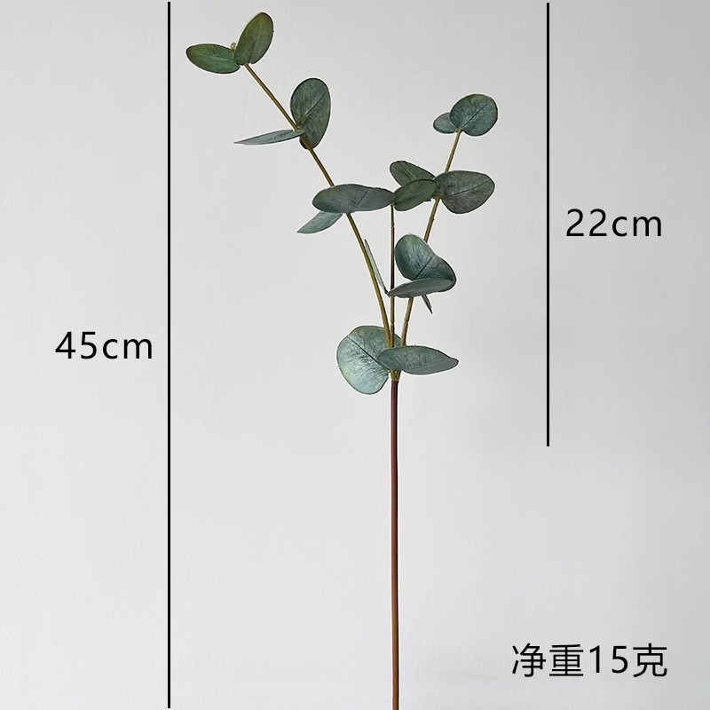 Cây bạch đàn xanh khi chạm vào