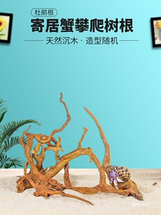 ���N����ľ�ľ�з�������������Ȼ���x�~����Ȼ�b��쾰������̨