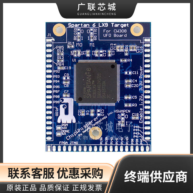 NAE-CW308T-S6LX9 可编程 IC 开发工具 Spartan 6LX9 Target for