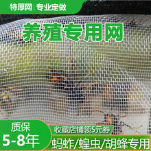 養殖螞蚱專用網蝗蟲紗網片蝗蟲窗紗馬蜂蜜針防蟲網罩大棚拱形包郵