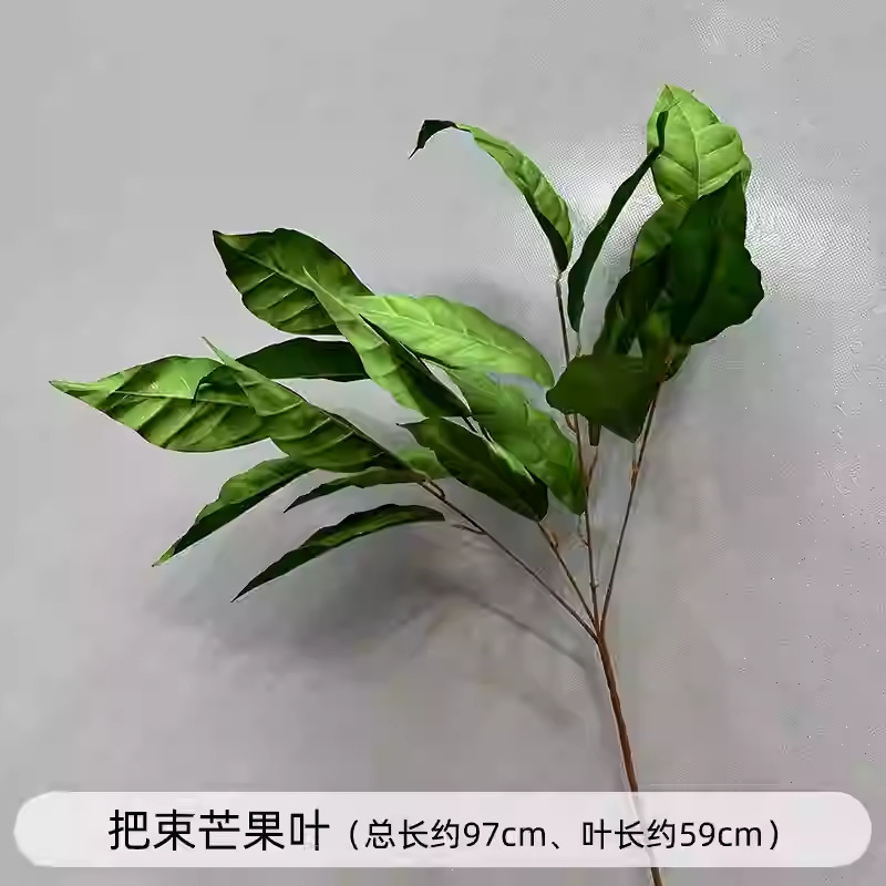 芦荀草绿植花龙须草假花白绿森系婚庆装饰自然风背景插花路引|undefined