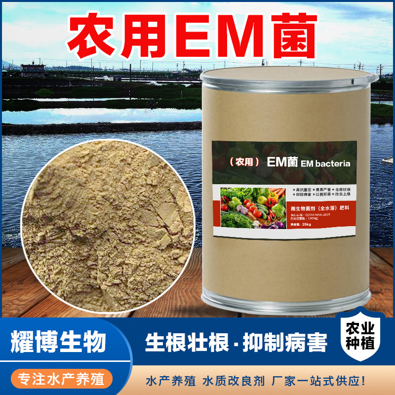 em菌种种植益生菌蔬菜果树草莓葡萄植物农用改良土壤壮苗高活性