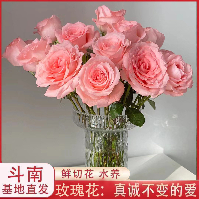 06eb95bd-ef72-4ca8-ba85-edb9212a1dbc.jpe