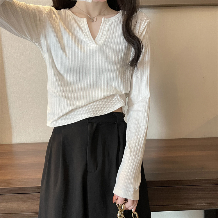 白色打底衫女内搭春秋长袖t恤女2025年新款修身v领chic外穿上衣服|undefined
