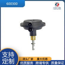 Դͷ����  �����Ż�  600300  ���ִ���������ڸ��� F-150 �ֿ�