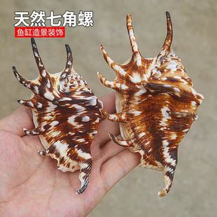����ؐ������Ȼ����ؐ��֩�����߽��ݼҾ��b��~��ˮ���쾰�Ĕz