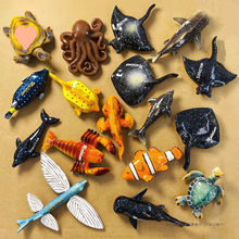 �R���������μo�����w���ׄ�������ϵ���b��F�����N���ֶY�X��