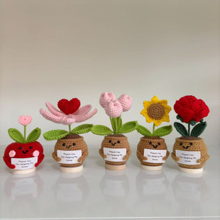 Cross-Border Handmade Knitted Potted Plant Yarn Crochet Ornaments Actively Encourage Small Potted Plant Weaving Bouquets and Artificial Flowers