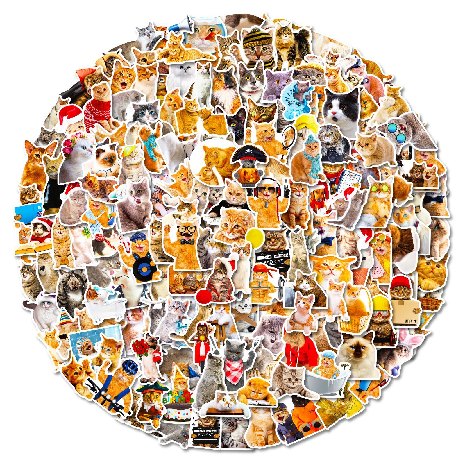 200 piezas de gato realista pegatinas transfronterizas Mori realista gatito adhesivo PVC impermeable portátil pegatinas al por mayor