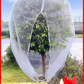 其他园林资材;木质工艺品;其它水族用品