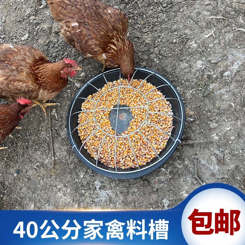 Tanque de alimentación de pollo tanque de alimentación de lechones de cerdo tanque de alimentación de cerdo tanque de alimentación de cerdo tanque de alimentación de cerdo a granel tanque de alimentación de cerdo tanque de alimentación de cerdo