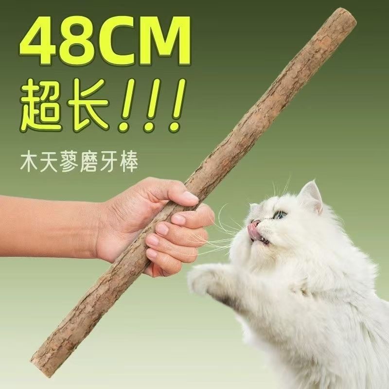 두께 1.0cm(길이 48cm) 마디풀 스틱