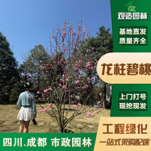 ҘĴ@ͺͥԺG̾^¶عֲ^pL