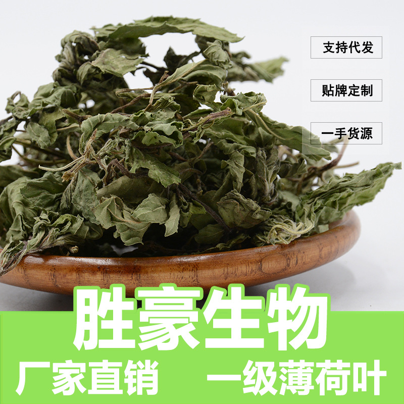 花草茶/批发/花茶/薄荷叶/干薄荷/量大从优/新货/代加工