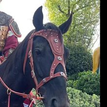 �R�\�^�\�Kȫ�נ��R�K�\�K�R��������R�b���¿����׽��ٿ۴��