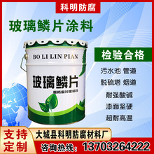 环氧改性玻璃鳞片涂料 环氧呋喃鳞片防腐涂料 脱硫塔面漆
