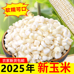 �V���ó�Ŵ�����^������������������ÓƤ������ˮ���ײ���С�w��