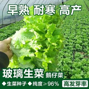 �������˷N���ļ������˷N���߲˲˷N���̨ͥԺ���Դ��＾�ײ��N