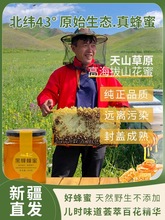新疆蜂蜜纯正天然野生农家自产宗枣伊犁黑蜂土蜂原蜜洋槐真百花蜜