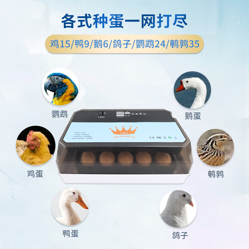 15 pequeño hogar incubadora experimental enseñanza pequeña granja incubadora automática pollo pato codorniz incubadora