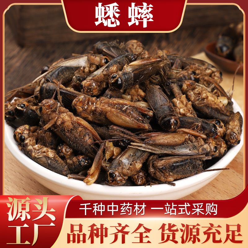 飒枫蟋蟀干材蟋蟀蚂蚱干货 蛐蛐 干虫子 鸣虫 将军虫