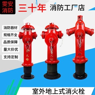Outdoor Fire Hydrant Ss100/65-1.6 Outdoor Above Ground Fire Hydrant Outdoor Fire Hydrant Factory Direct Supply