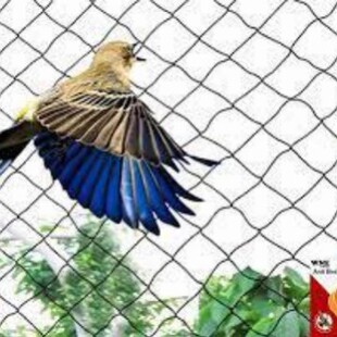 BSCI���Sֱ�N����HDPE�ɾ������B�W��ɫ�����~�W�����W