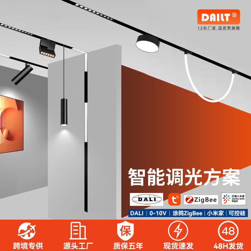 Magnetic Track Light Embedded Embedded Non-main Light Living Room Household Light Black Track LED Magnetic Light