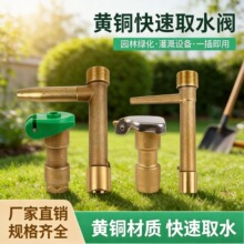 6分DN20/1寸DN25快速铜取水阀绿化地插头钥匙杆花园浇水喷头黄铜