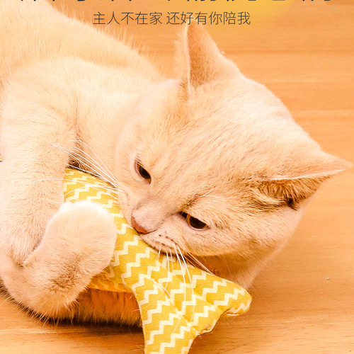 Wholesale cat toys, catnip puppets, simulated fish kittens, teething kittens, cat teasers, pet cat supplies