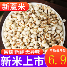 薏米3斤 新货农家贵州薏仁米苡米仁配红豆五谷杂粮粗粮粮油米面