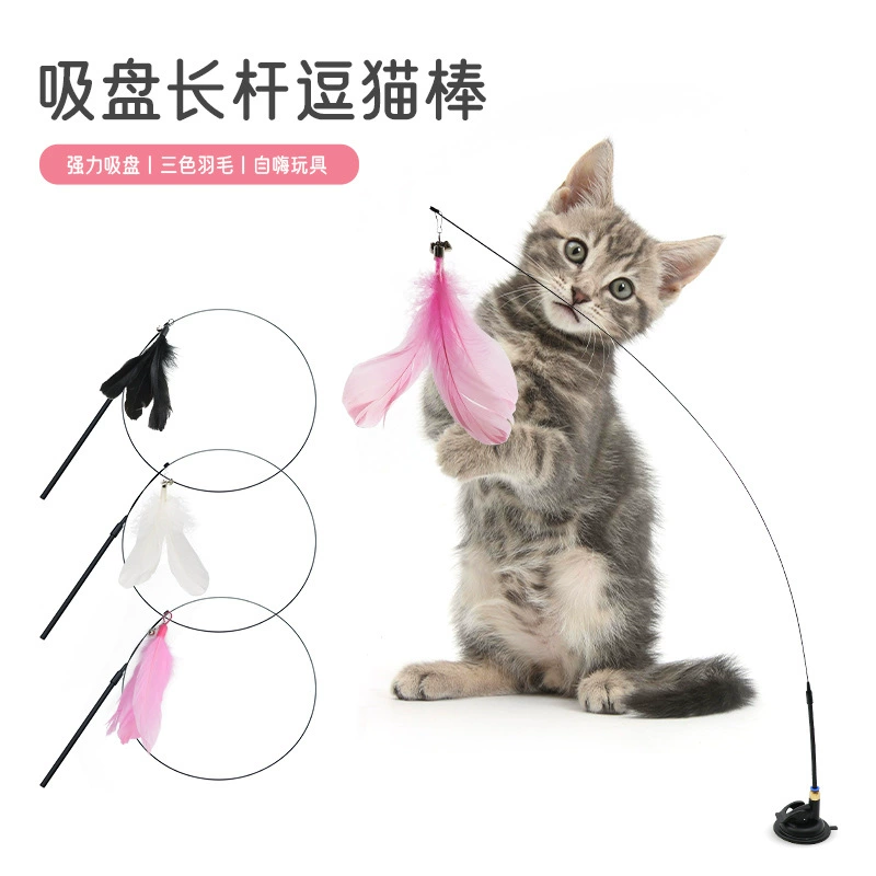 Кошачья игрушка от привет, чтобы избавиться от скуки кошка ленивый автоматически дразнит кошка