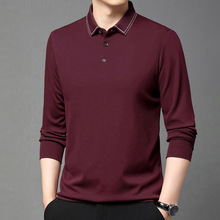 T高端士翻领秋冬季polo衫拼色品牌2024新款长袖t恤男羊毛商务休闲