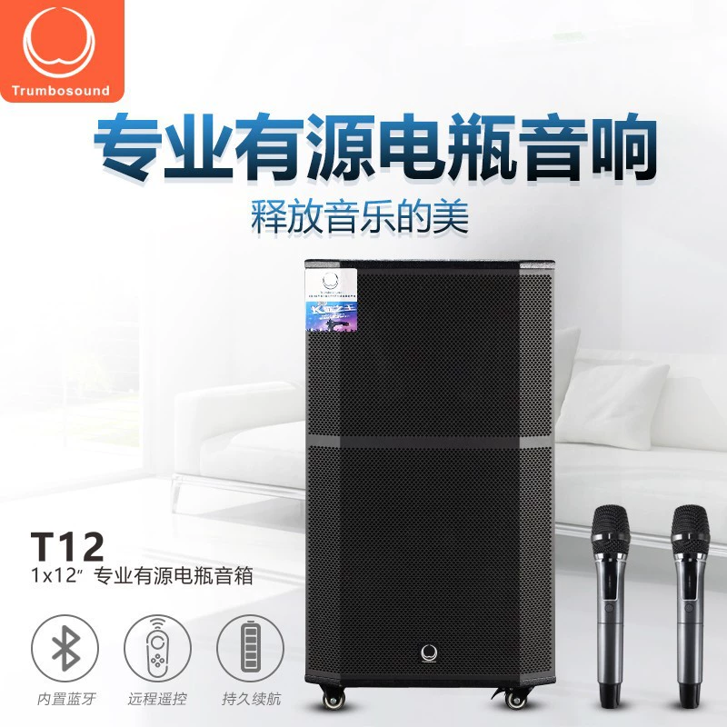 Профессиональный дорожный микрофон, колонки, bluetooth, мощный