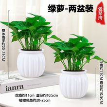 �G�}�����҃�ֲ�ﻨ�ܼ����·����ռ�ȩ�Gֲˮ�������՚���B�G�j