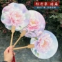 洛阳打卡拍照景区扇