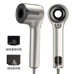Cross-border high-speed ionic hair dryer, home constant temperature hair care hair dryer, beauty salon high power 110V US standard