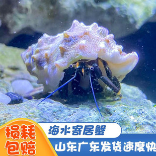 ��ˮ�ľ�з���׳������ﺣˮ�ľ�зС���~ɺ��������з�����^�p