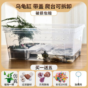 Tortoise tank with sundeck landscaping Brazilian tortoise rearing box amphibious box small pet tortoise hibernation tank ecological tank